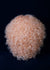 products/XO9Q5257.jpg