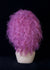 products/XO9Q5280.jpg